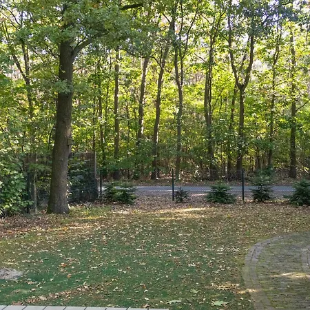 Charming Forest With Garden & Terrace In Gelderland Hattemerbroek