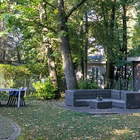 Charming Forest With Garden & Terrace In Gelderland Chalet *