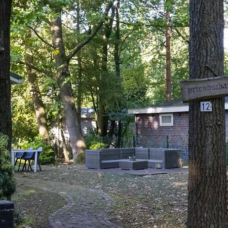 Charming Forest With Garden & Terrace In Gelderland *
