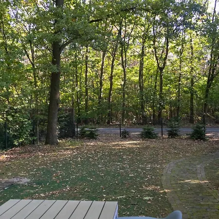 Domek alpejski Charming Forest With Garden & Terrace In Gelderland *
